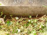 image of grave number 808634